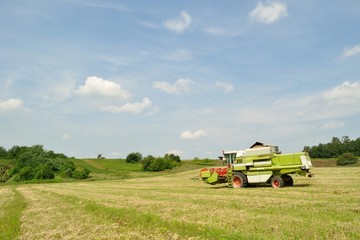 Obraz premium Combine harvester finished the harvesting in the wheat field