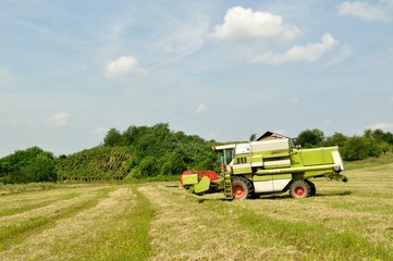 Naklejka premium Combine harvester finished the harvesting in the wheat field