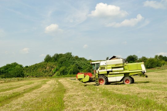 Combine harvester finished the harvesting in the wheat field