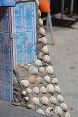 seashell decoration
