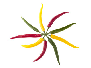 Wheel of peppers