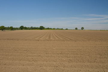 Ploughed field