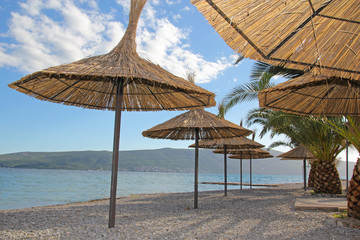 beach with palms and straw sunshades
