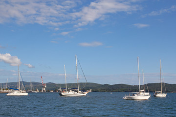Obraz premium yachts on the Adriatic sea
