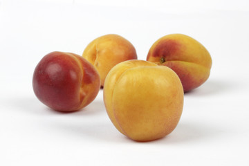 apricots  on the white background