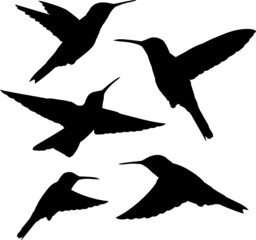 hummingbird silhouettes