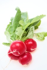 Radish Plant