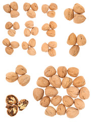 Fototapeta na wymiar A collage of walnuts on white background