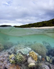 Deurstickers Coral reef near Whitehaven Beach in Whitsundays © Tanya