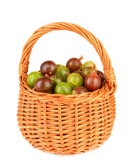 Fresh gooseberries in wicker basket isolated on white