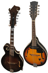 mandolin