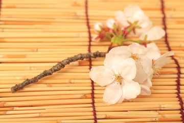 桜