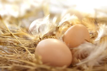 Zelfklevend Fotobehang fresh eggs in a nest © DDsign