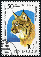 stamp printed in USSR shows Eurasian Lynx, Lynx lynx