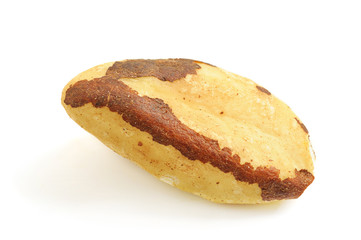 Brazil nut isolated
