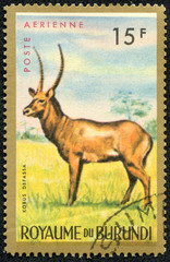 stamp shows an African animal - Antelope