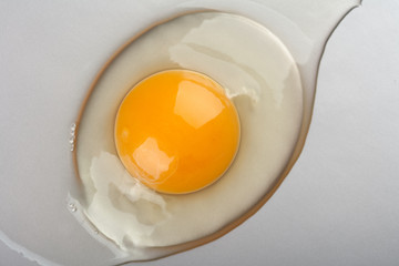 Organic egg yolk closeup