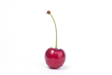 Sweet cherry