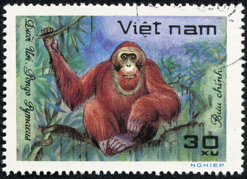 stamp printed in VIETNAM shows a African animal