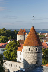 Summer view of the Old Town of Tallinn, Estonia