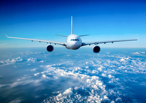 Fototapeta Passenger Airliner in the sky
