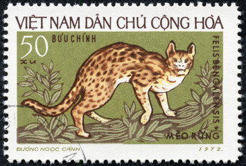 stamp printed by Vietnam, shows wildcats