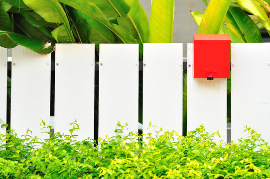White fenec green leaf and red mail box