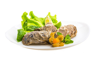 Fresh oyster