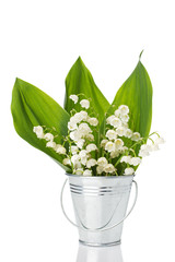 lily of the valley in a bucket