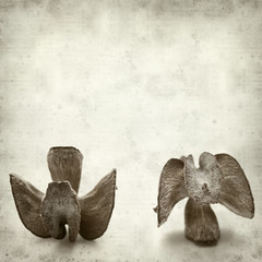 textured old paper background