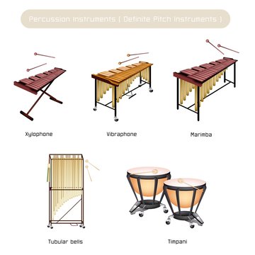 Set of Musical Percussion Instruments