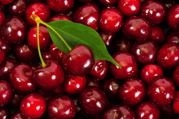 cherries