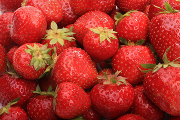 ripe strawberries in bulk