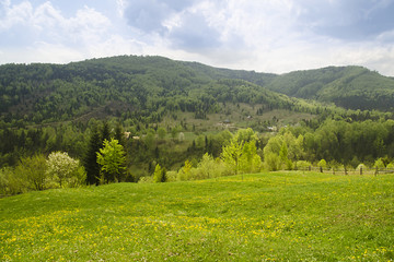 Naklejka na ściany i meble Amazing mountins view in green. Carpathians, Ukraine