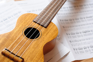 Obraz na płótnie Canvas ukulele