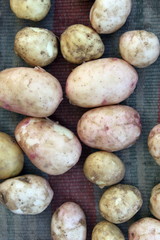 potatoes raw vegetables food close up