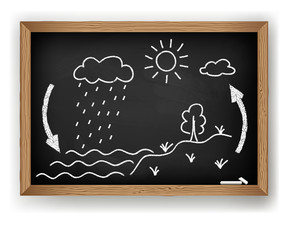 Vector schematic representation of the water cycle in nature