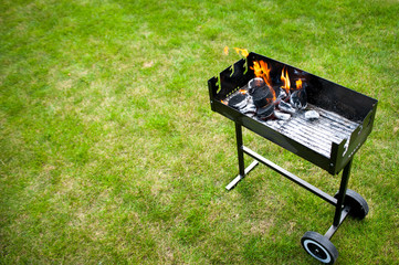 Barbaque in preparation, with fire