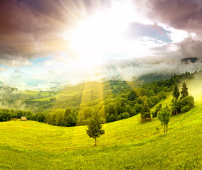 Morning landscape in the mountains. Carpathian