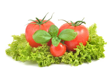 Tomate