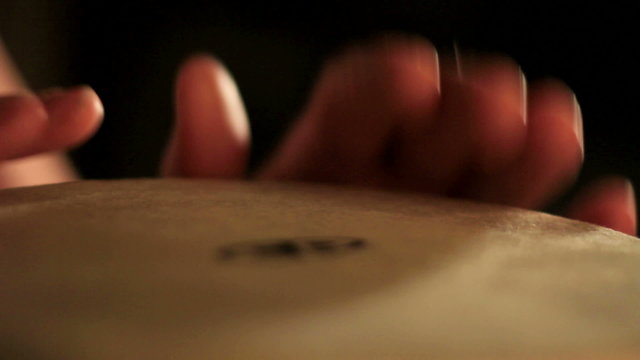 Close-up of hands playing bongos. Find clips in our portfolio.