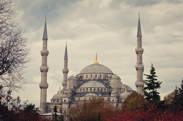 Fototapeta na wymiar Mosque in Istanbul, Turkey