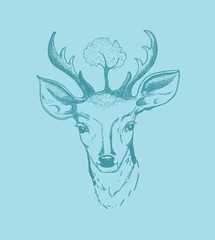Deer illustration
