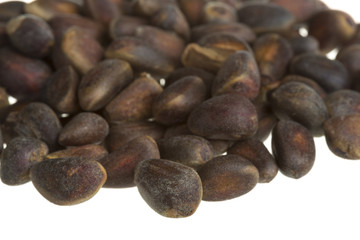 cedar nuts