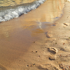 Spuren am Strand
