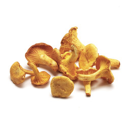 heap of chanterelles on white.