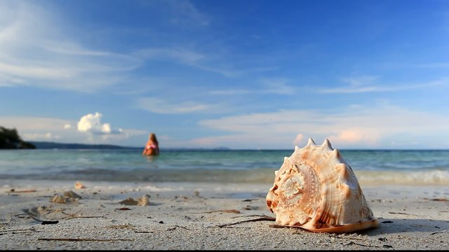 Seashell and girl in bikini on tropical beach, Philippines, Bora