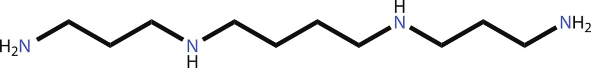 Spermine structural formula