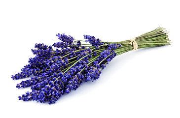 Lavender bouquet isolated