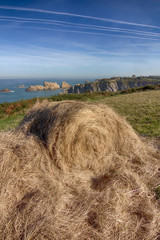 bale of straw on a steep meadow by the sea
